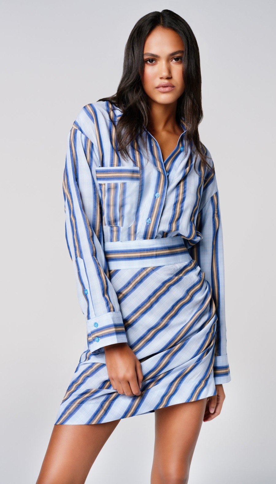 ShopSmythe Mini Shirt Dress | Dresses